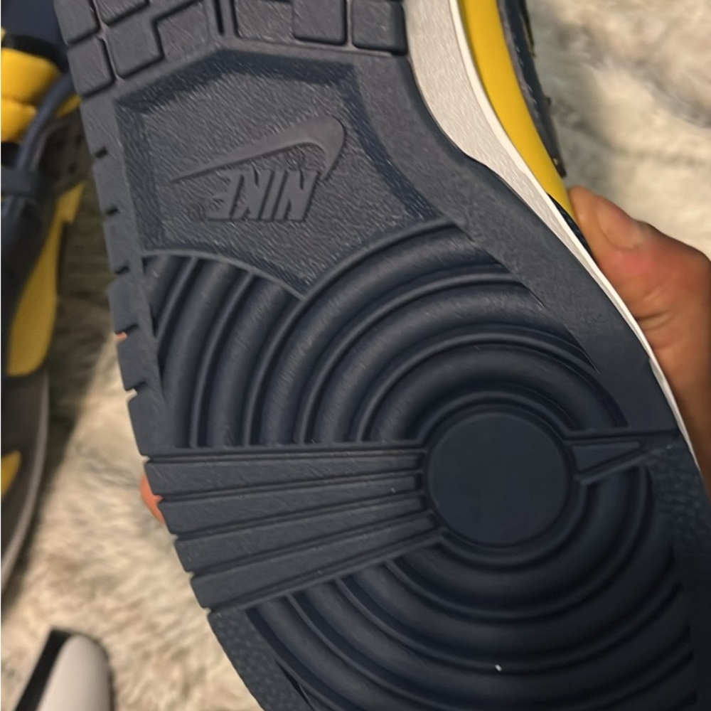 Michigan Dunks - image 4